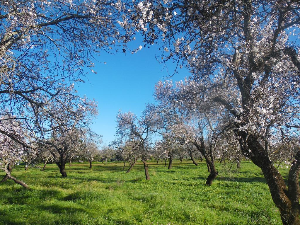 Moura 11 Daire Vilamoura Dış mekan fotoğraf